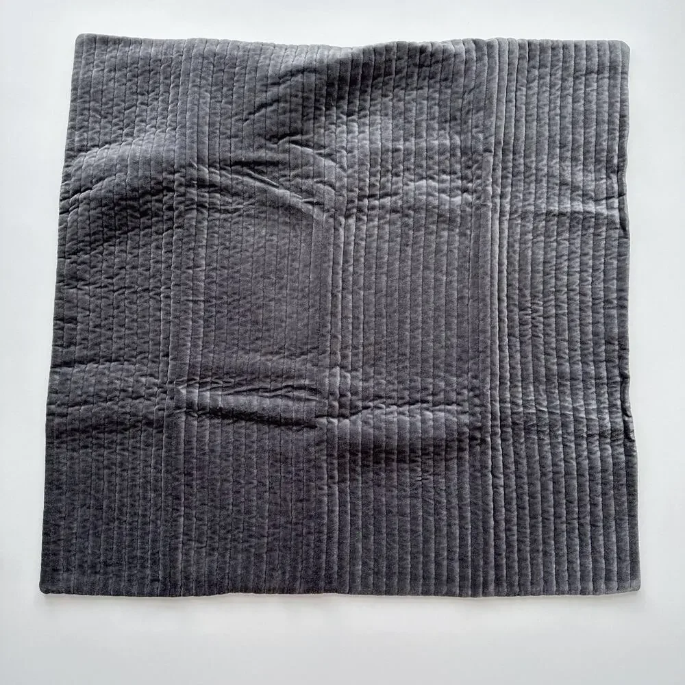 LAST CHANCE 🤍 Restoration Hardware Tate Velvet Channel Euro Sham